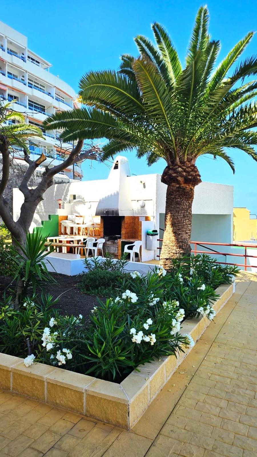 Апартаменты Playa De La Arena Puerto de Santiago  Exterior foto